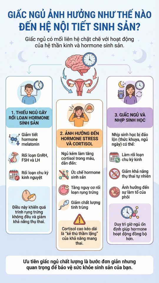 giấc ngủ ảnh hưởng đến nội tiết và sinh sản